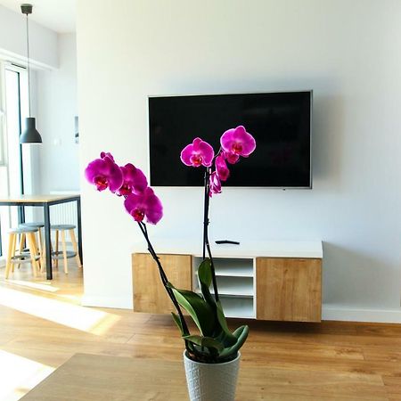 Apartamenty I.M.A Towarowa Poznań Exteriör bild